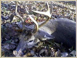 Jackson Purchase Outfitters Photo Gallery